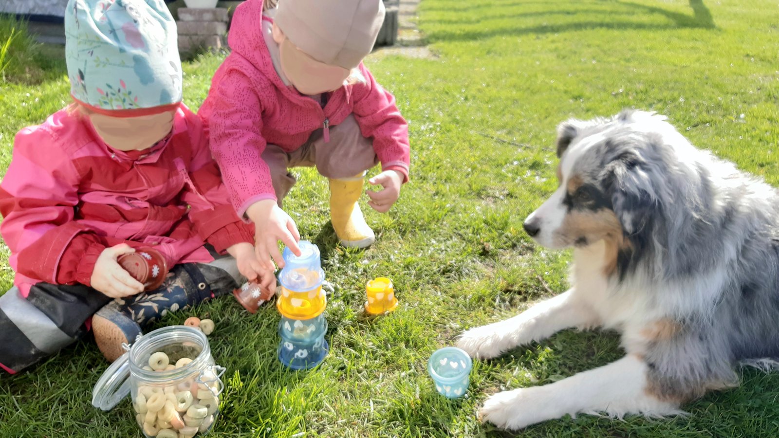 Spielen mit Hund im Garten
