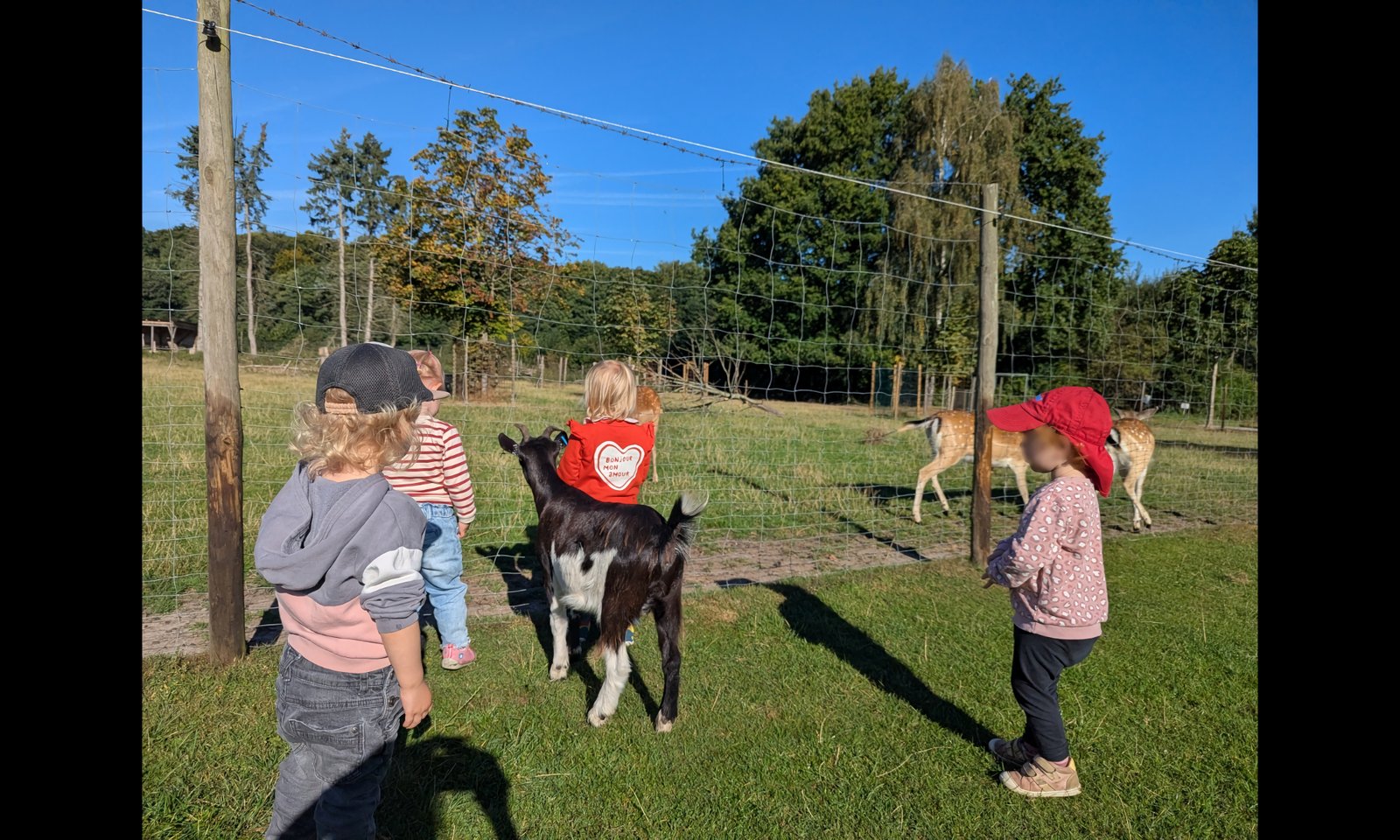 Streichelzoo Ruschwedel